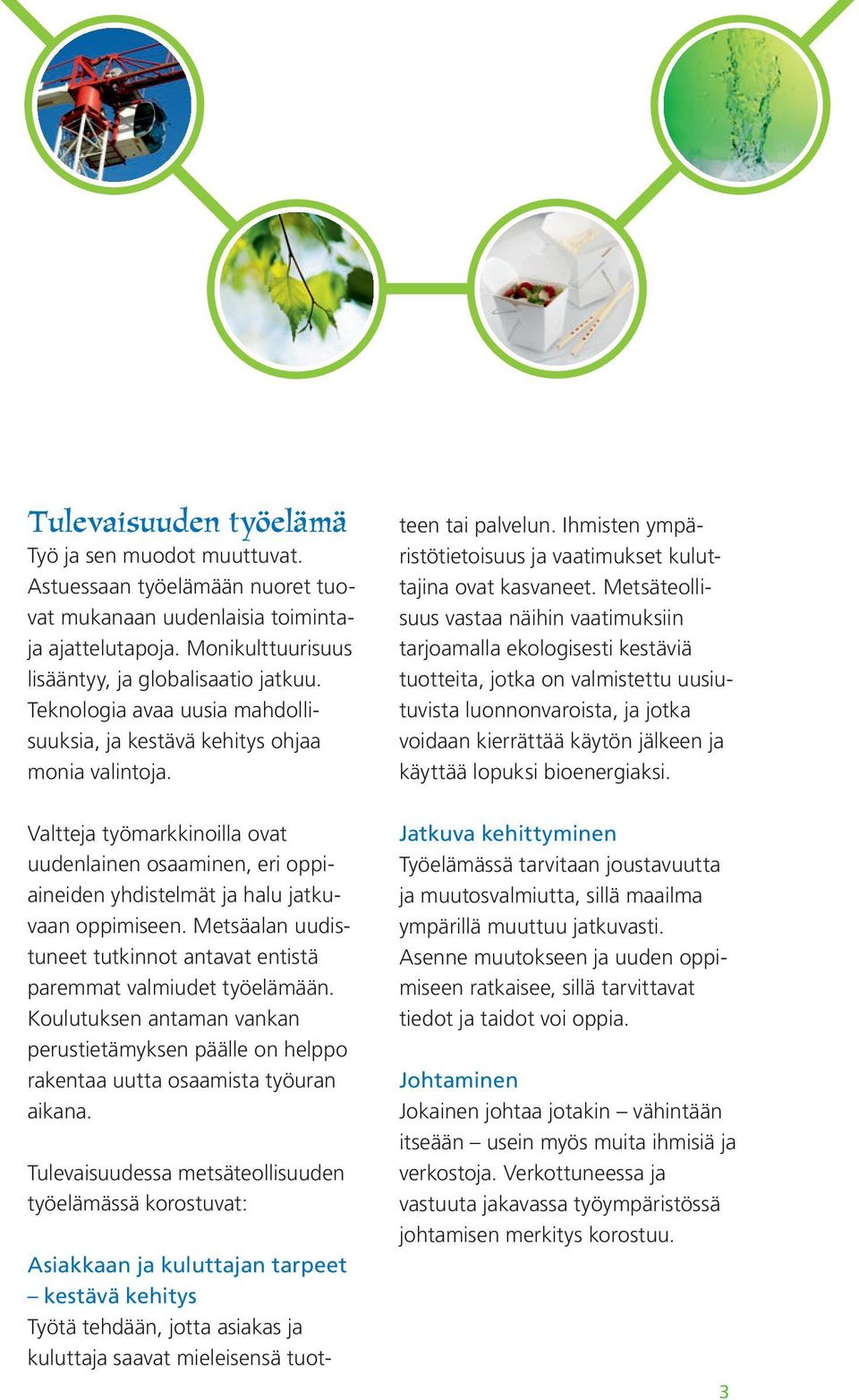 Asiakkaan ja kuluttajan tarpeet kestävä kehitys Työtä tehdään, jotta asiakas ja kuluttaja saavat mieleisensä tuotteen tai palvelun.