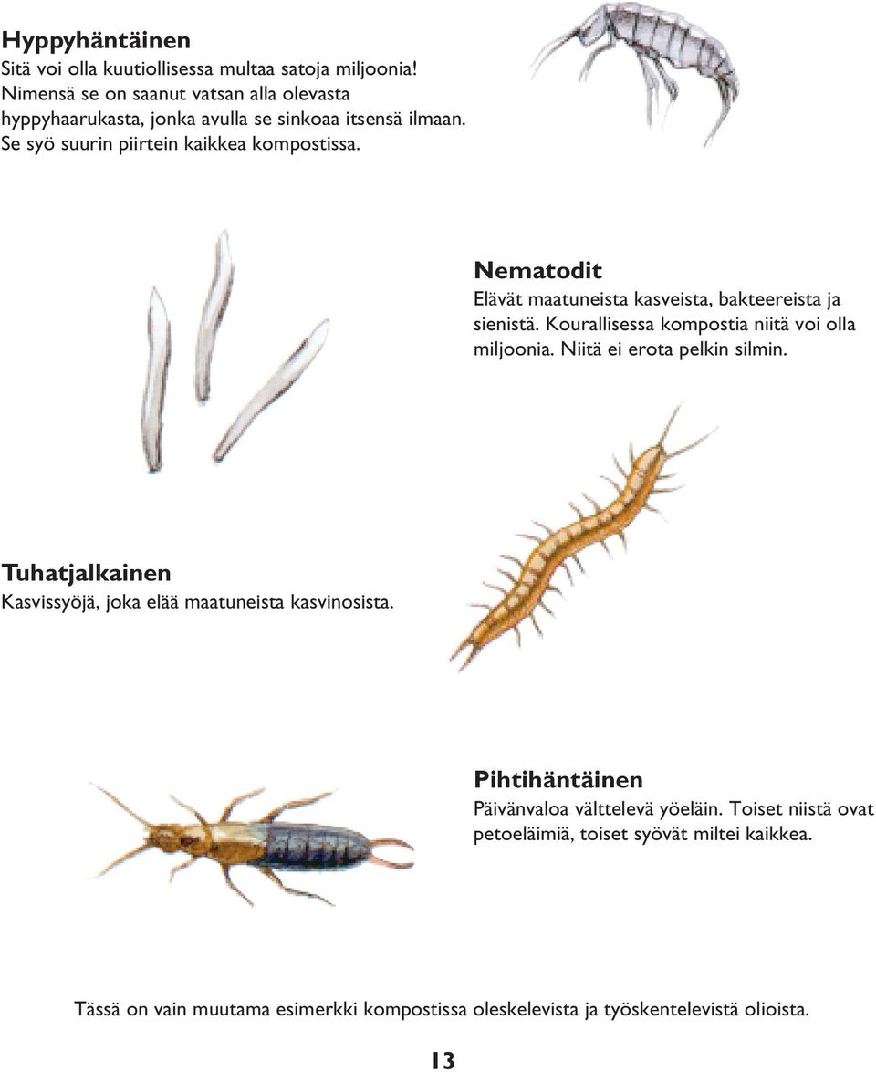 Nematodit Elävät maatuneista kasveista, bakteereista ja sienistä. Kourallisessa kompostia niitä voi olla miljoonia. Niitä ei erota pelkin silmin.