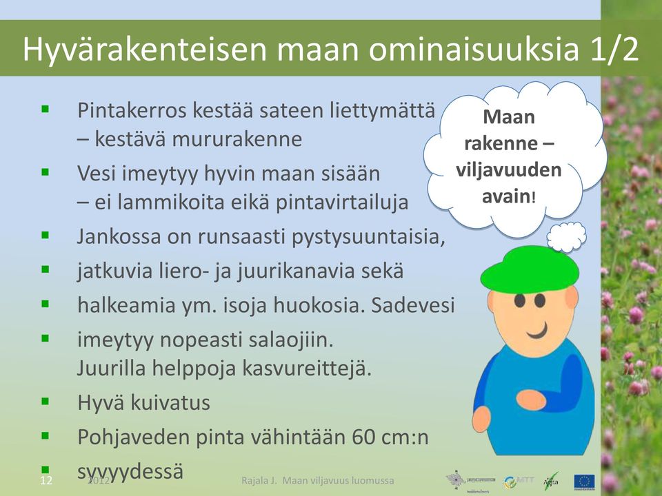 liero- ja juurikanavia sekä halkeamia ym. isoja huokosia. Sadevesi imeytyy nopeasti salaojiin.