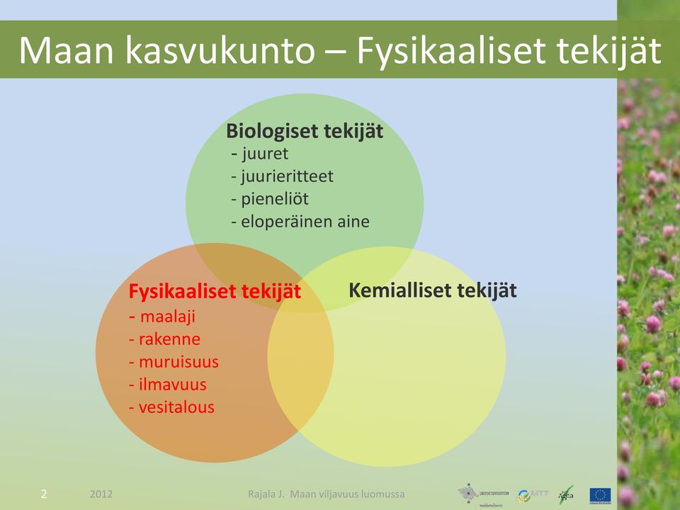 eloperäinen aine Fysikaaliset tekijät - maalaji -