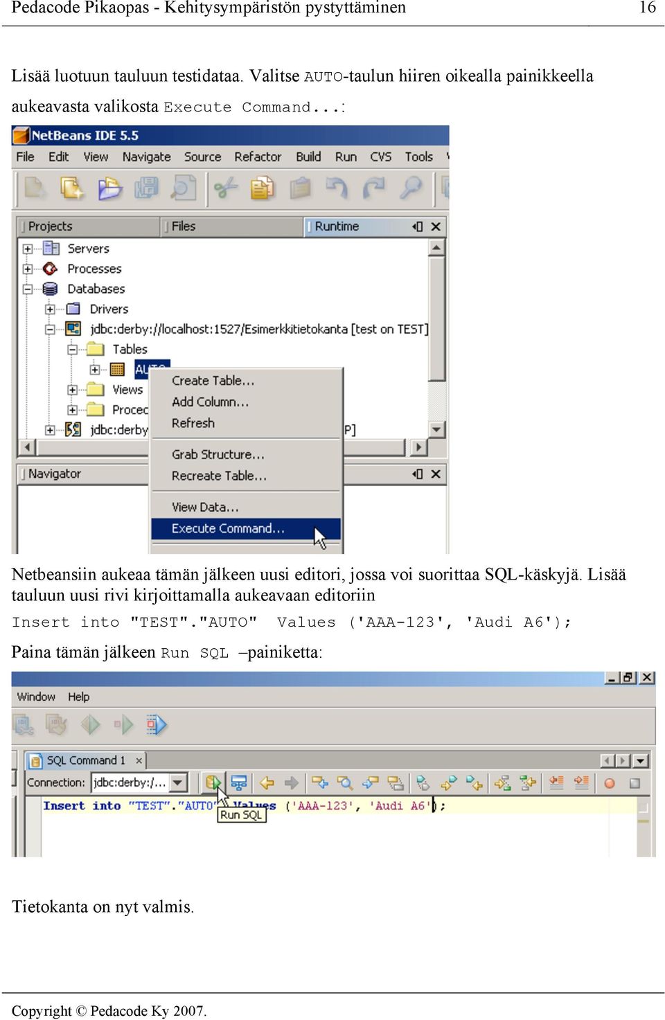 ..: Netbeansiin aukeaa tämän jälkeen uusi editori, jossa voi suorittaa SQL-käskyjä.