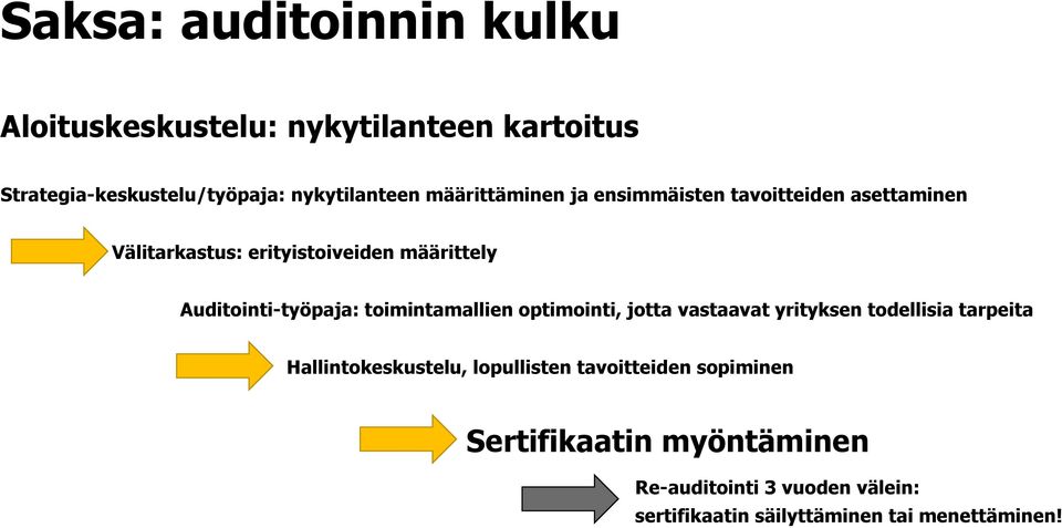 Auditointi-työpaja: toimintamallien optimointi, jotta vastaavat yrityksen todellisia tarpeita Hallintokeskustelu,