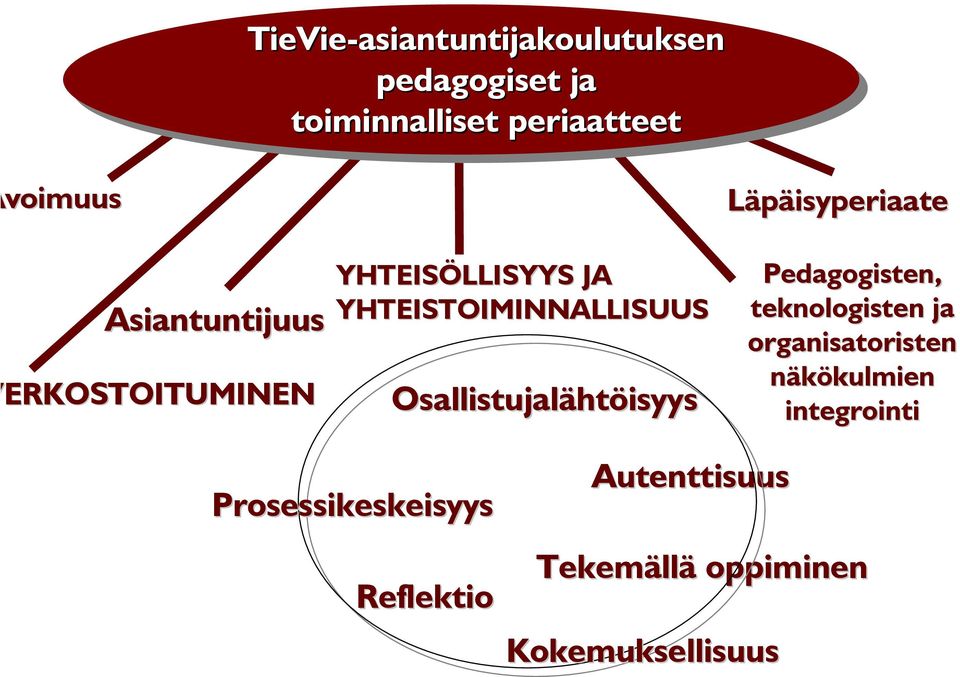 htöisyys Läpäisyperiaate Pedagogisten, teknologisten ja organisatoristen näkökulmien