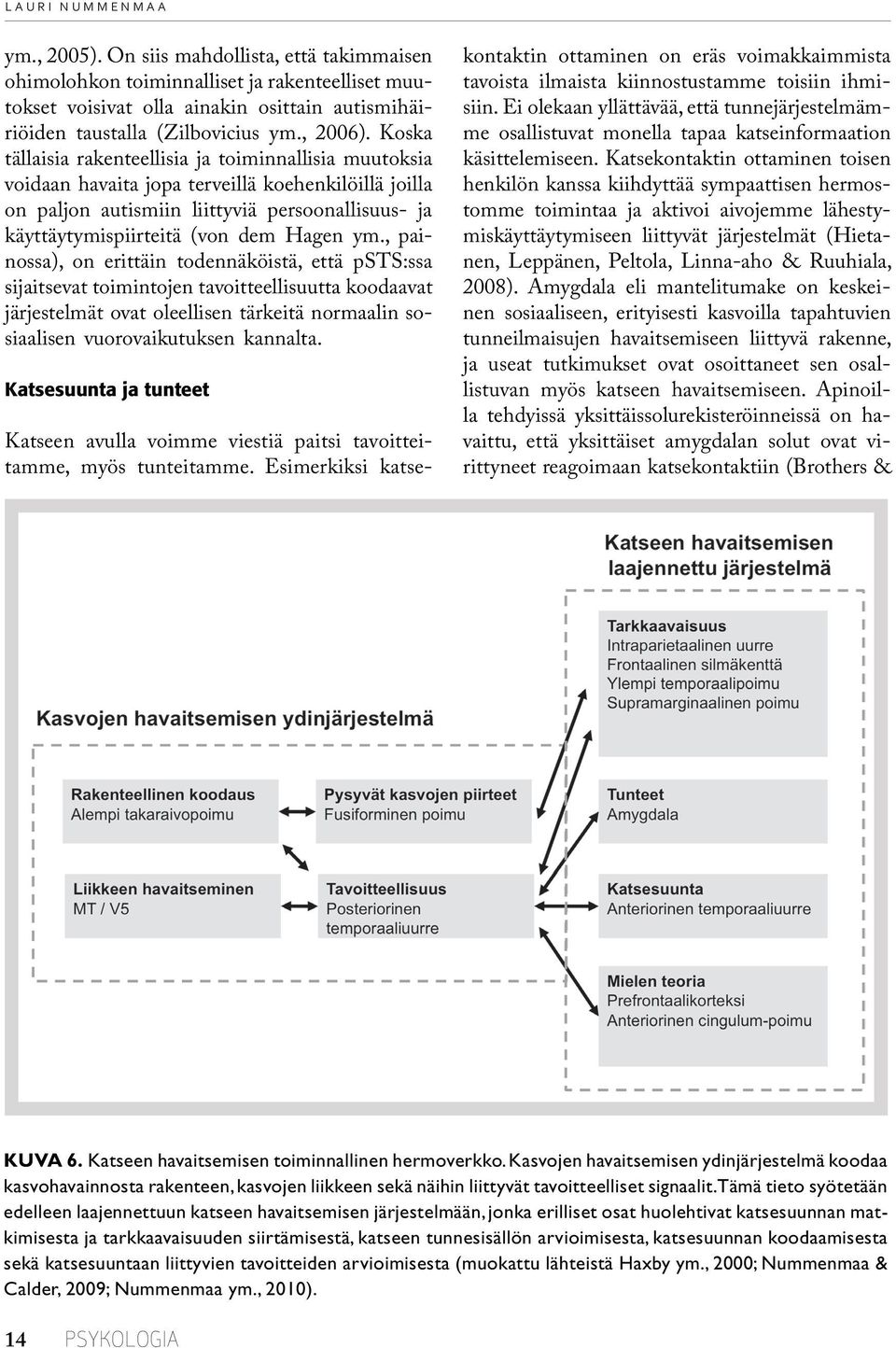 Koska tällaisia rakenteellisia ja toiminnallisia muutoksia voidaan havaita jopa terveillä koehenkilöillä joilla on paljon autismiin liittyviä persoonallisuus- ja käyttäytymispiirteitä (von dem Hagen