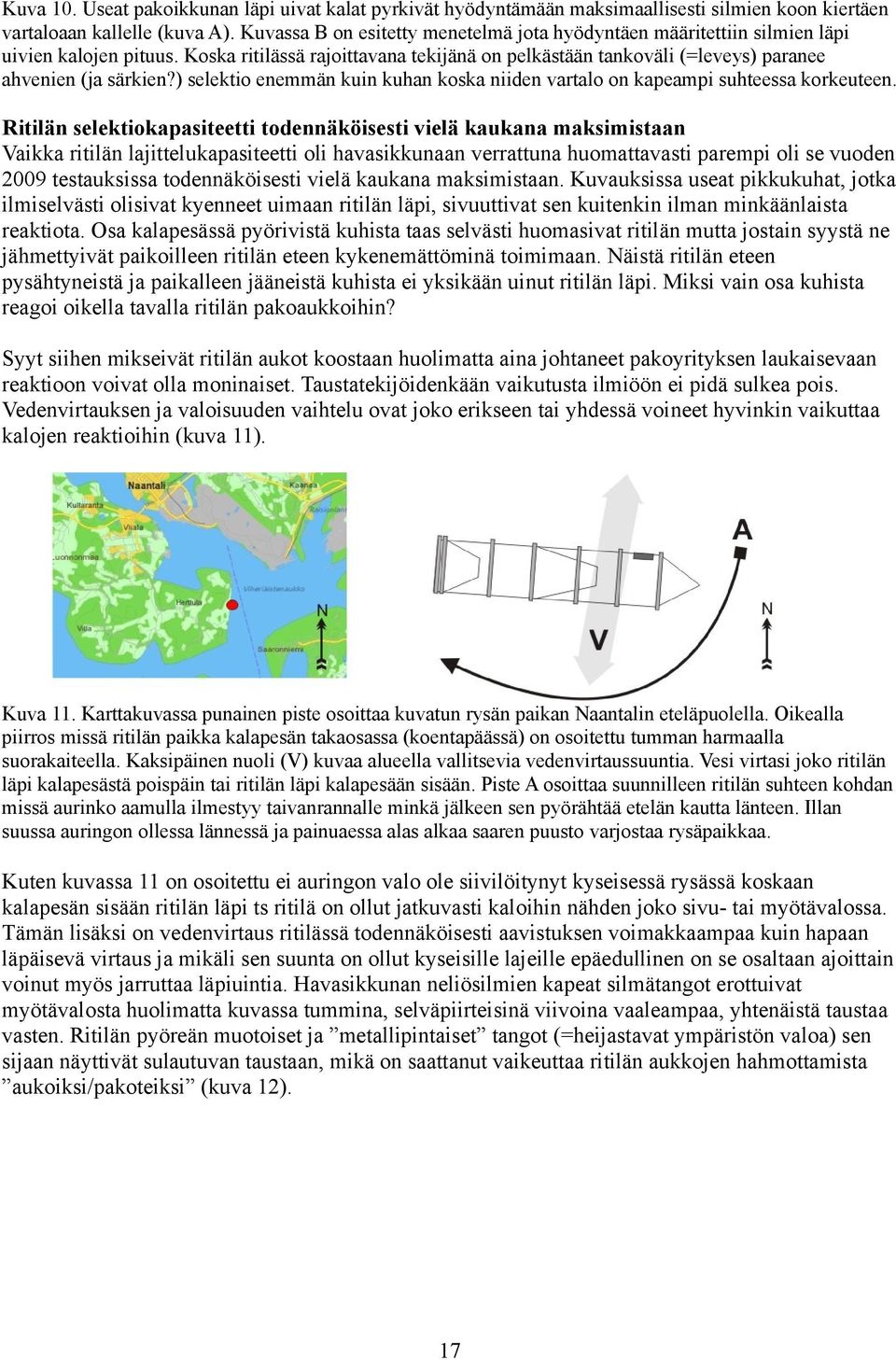 ) selektio enemmän kuin kuhan koska niiden vartalo on kapeampi suhteessa korkeuteen.