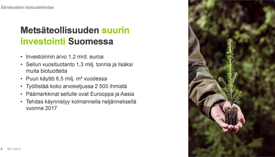 tonnia ja lisäksi muita biotuotteita Puun käyttö 6,5 milj.