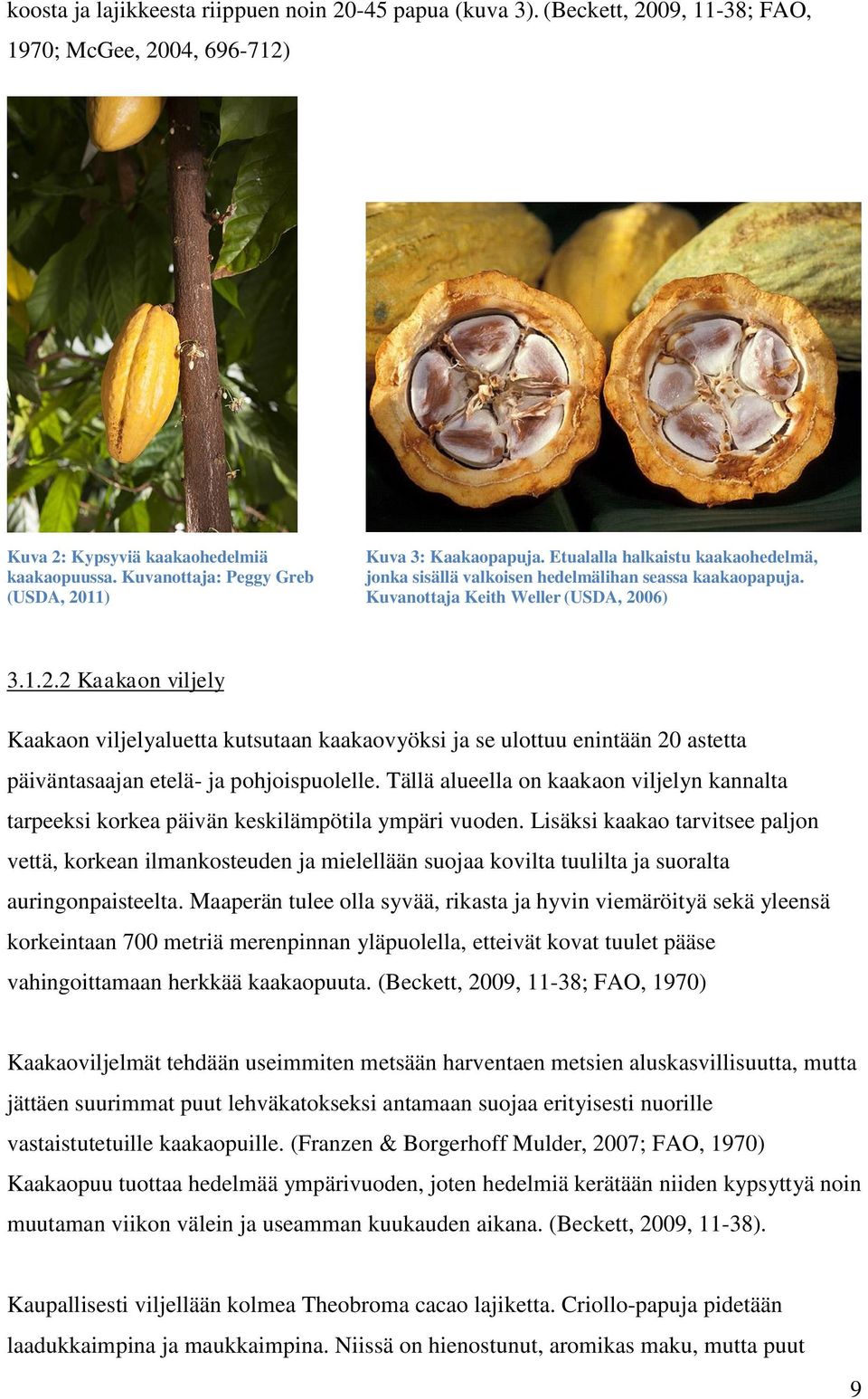 Tällä alueella on kaakaon viljelyn kannalta tarpeeksi korkea päivän keskilämpötila ympäri vuoden.