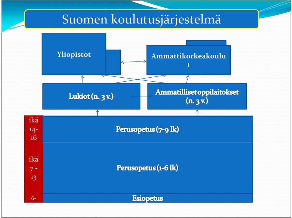 Yliopistot