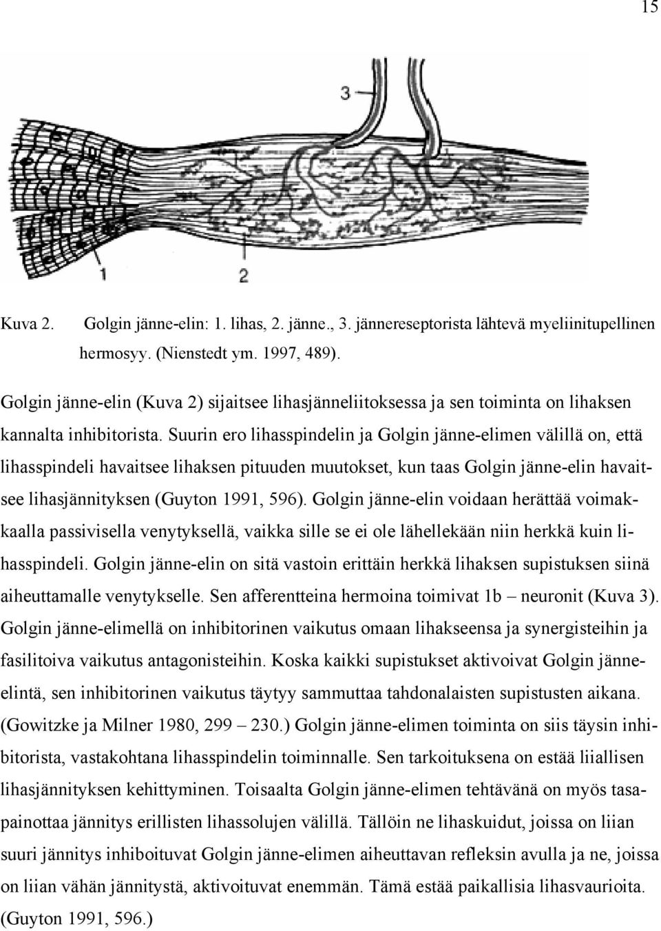 Suurin ero lihasspindelin ja Golgin jänne-elimen välillä on, että lihasspindeli havaitsee lihaksen pituuden muutokset, kun taas Golgin jänne-elin havaitsee lihasjännityksen (Guyton 1991, 596).