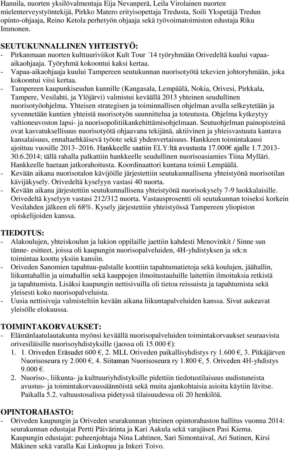 Työryhmä kokoontui kaksi kertaa. - Vapaa-aikaohjaaja kuului Tampereen seutukunnan nuorisotyötä tekevien johtoryhmään, joka kokoontui viisi kertaa.