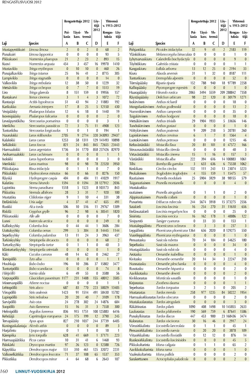 19970 1410 Mustaviklo Tringa erythropus 0 10 10 0 460 26 Punajalkaviklo Tringa totanus 25 16 41 2 8715 305 Lampiviklo Tringa stagnatilis 0 0 0 0 14 0 Valkoviklo Tringa nebularia 12 38 50 0 1229 32