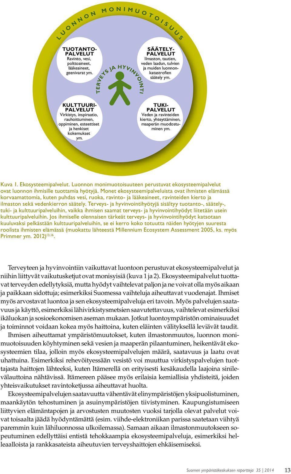 KULTTUURI- PALVELUT Virkistys, inspiraatio, rauhoittuminen, oppiminen, esteettiset ja henkiset kokemukset ym. TUKI- PALVELUT Veden ja ravinteiden kierto, yhteyttäminen, maaperän muodostuminen ym.