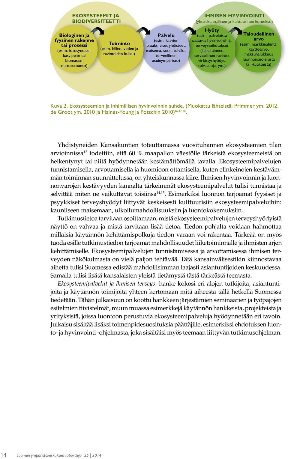 kasvien bioaktiiviset yhdisteet, maisema, suoja tulvilta, terveellinen asuinympäristö) IHMISEN HYVINVOINTI (yhteiskunnallinen ja kulttuurinen konteksti) Hyöty (esim.