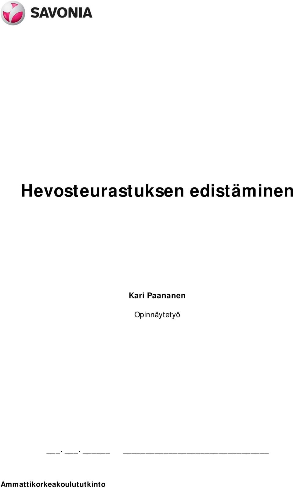 Paananen Opinnäytetyö.