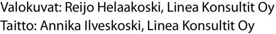 Konsultit Oy Taitto: