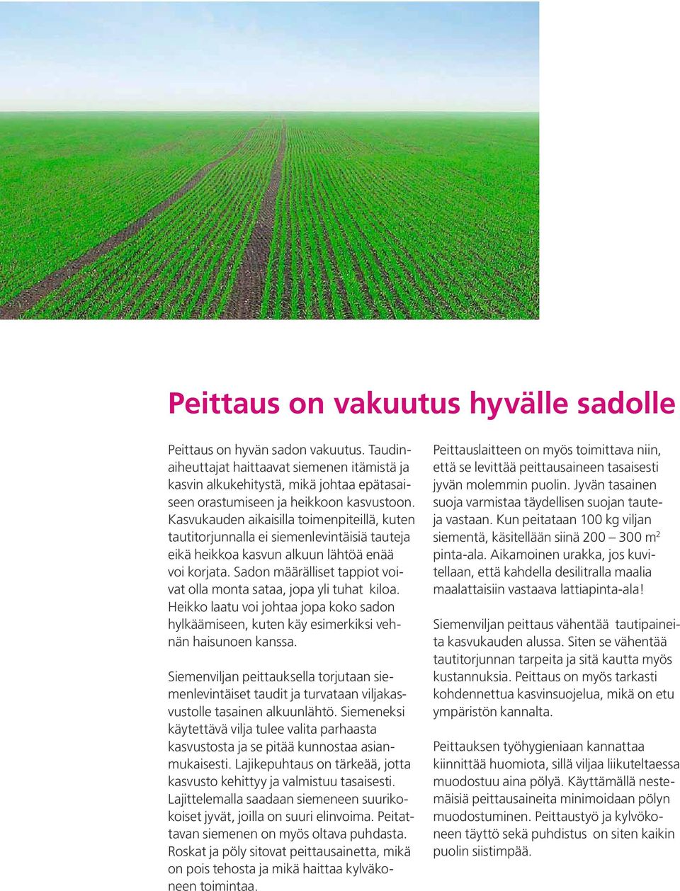 Kasvukauden aikaisilla toimenpiteillä, kuten tautitorjunnalla ei siemenlevintäisiä tauteja eikä heikkoa kasvun alkuun lähtöä enää voi korjata.