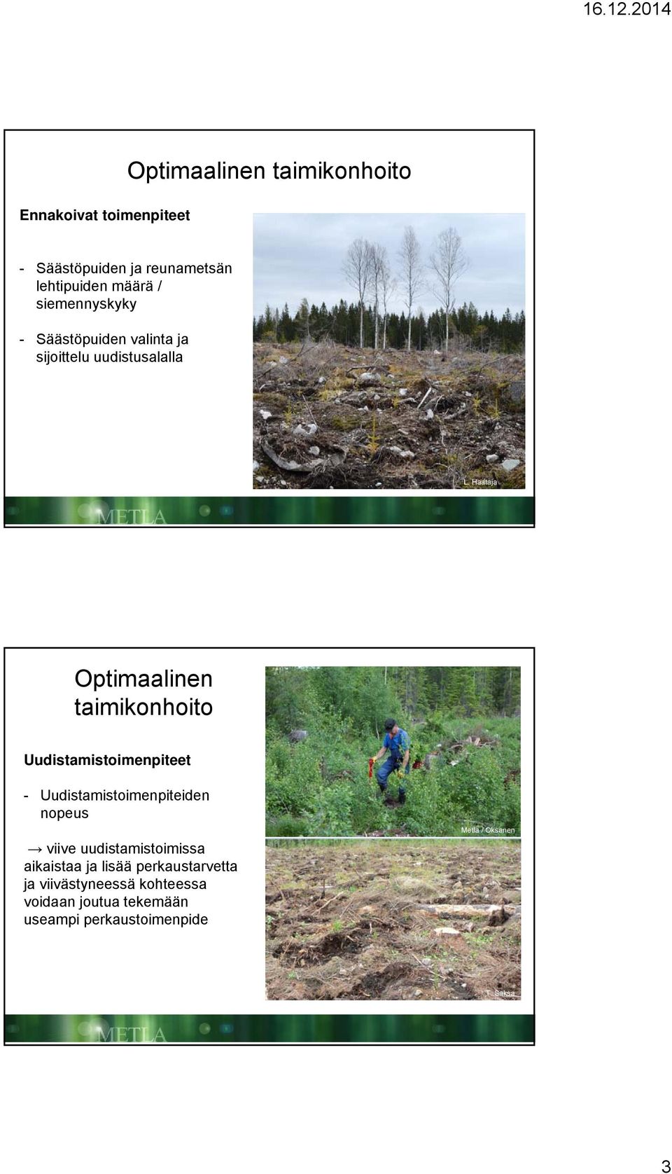 Haataja Optimaalinen Uudistamistoimenpiteet - Uudistamistoimenpiteiden nopeus viive