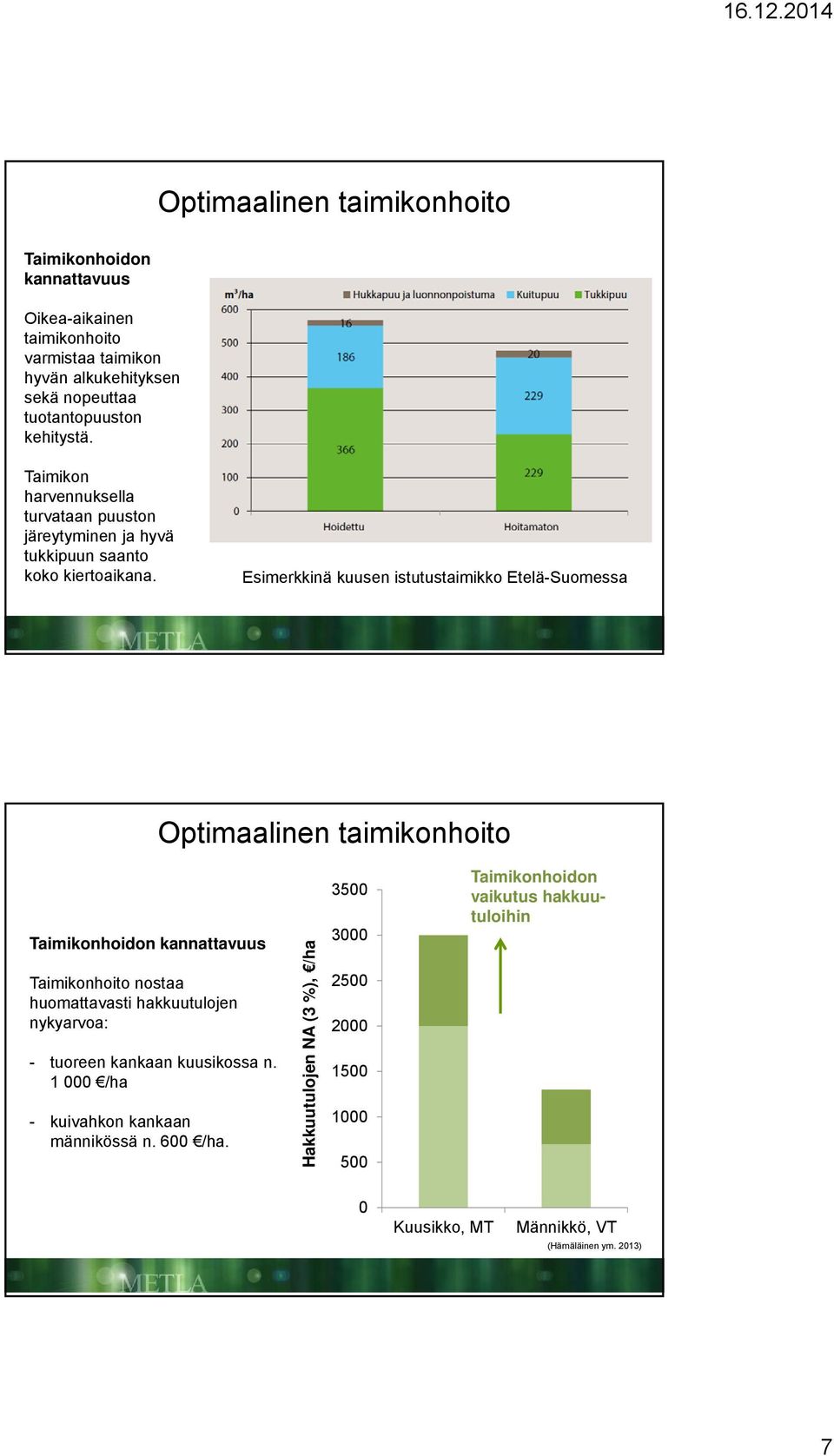 Esimerkkinä kuusen istutustaimikko Etelä-Suomessa Taimikonhoidon kannattavuus Taimikonhoito nostaa huomattavasti hakkuutulojen nykyarvoa: - tuoreen