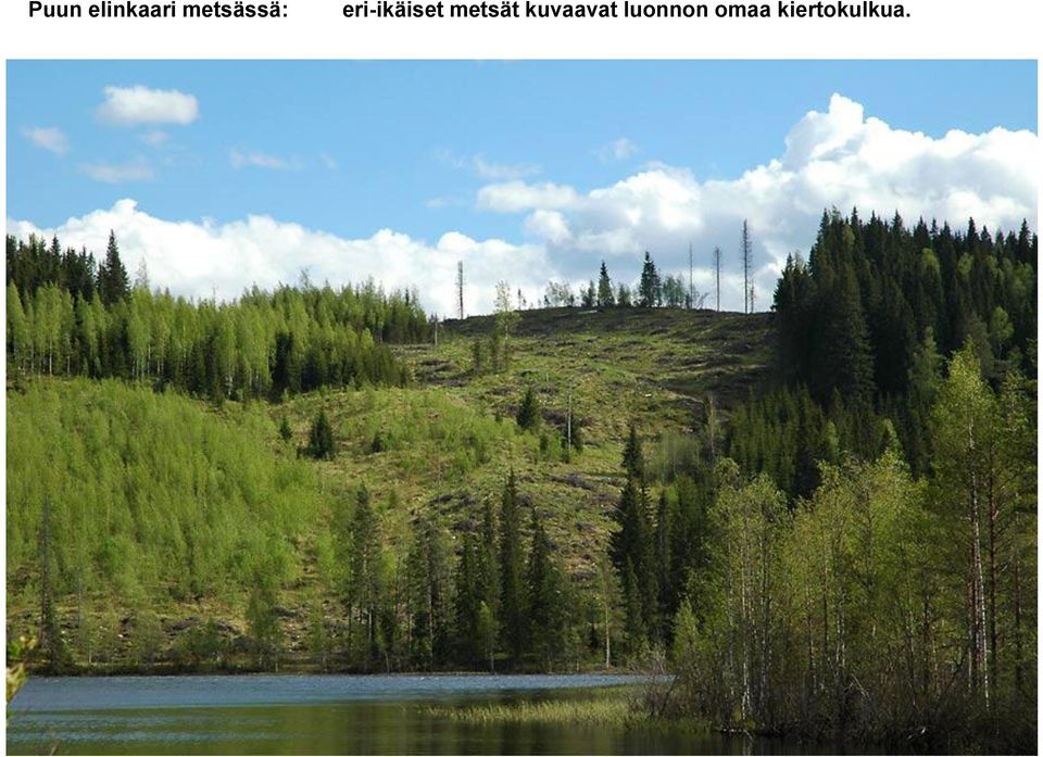 eri-ikäiset metsät