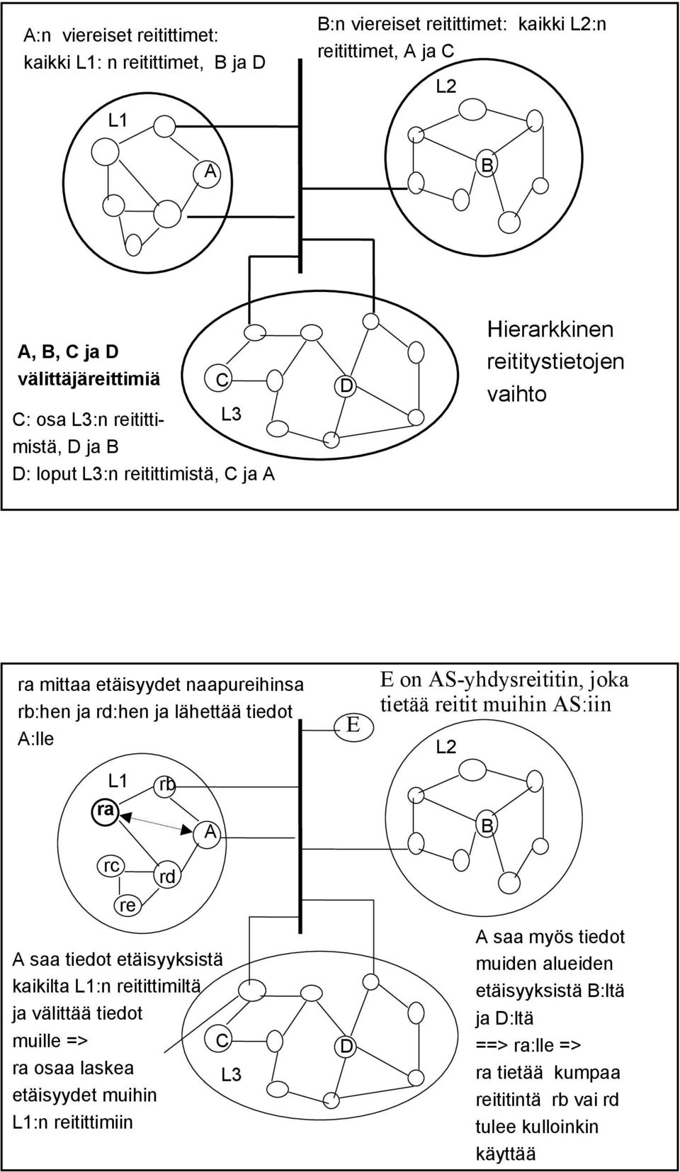 E E on AS-yhdysreititin, joka tietää reitit muihin AS:iin L2 ra L1 rb A B rc re rd A saa tiedot etäisyyksistä kaikilta L1:n reitittimiltä ja välittää tiedot muille => C ra osaa