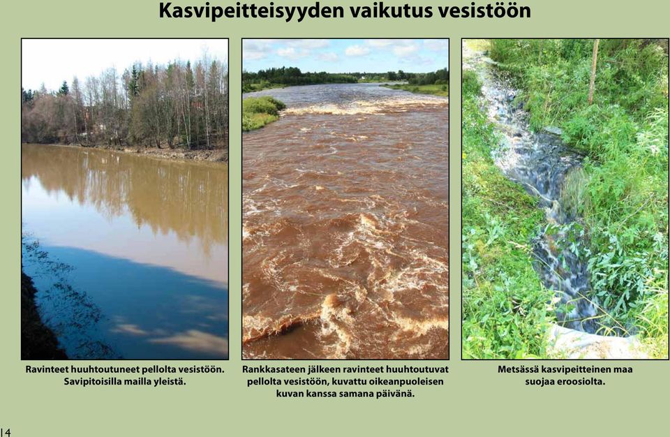 Rankkasateen jälkeen ravinteet huuhtoutuvat pellolta vesistöön,