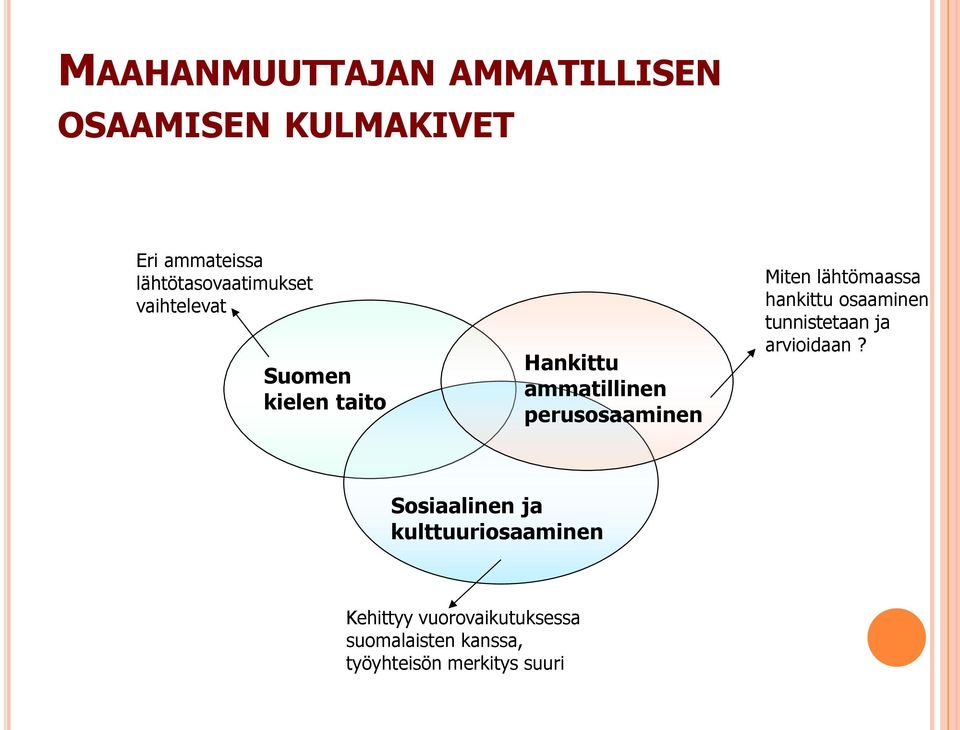 perusosaaminen Miten lähtömaassa hankittu osaaminen tunnistetaan ja arvioidaan?