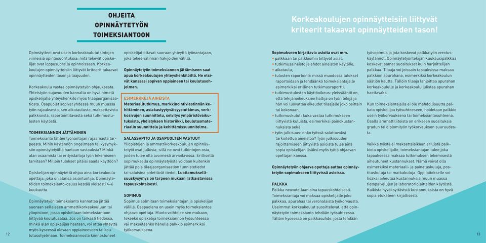 Korkeakoulujen opinnäytteisiin liittyvät kriteerit takaavat opinnäytteiden tason ja laajuuden. Korkeakoulu vastaa opinnäytetyön ohjauksesta.