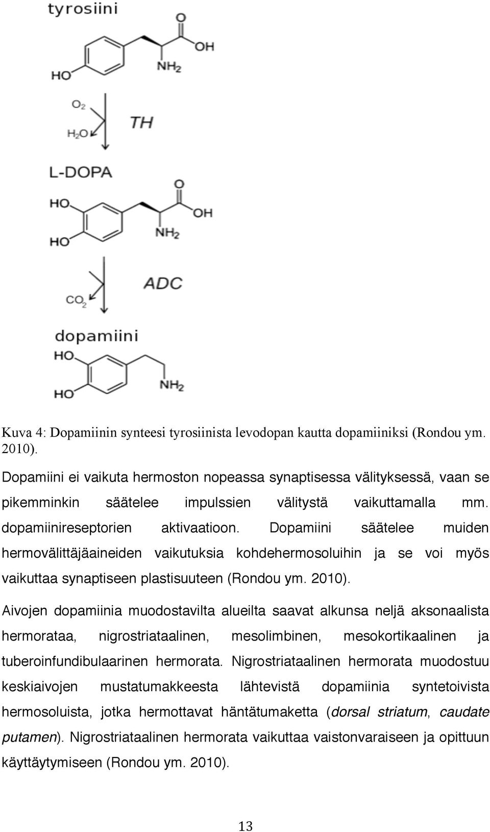 Dopamiini säätelee muiden hermovälittäjäaineiden vaikutuksia kohdehermosoluihin ja se voi myös vaikuttaa synaptiseen plastisuuteen (Rondou ym. 2010).