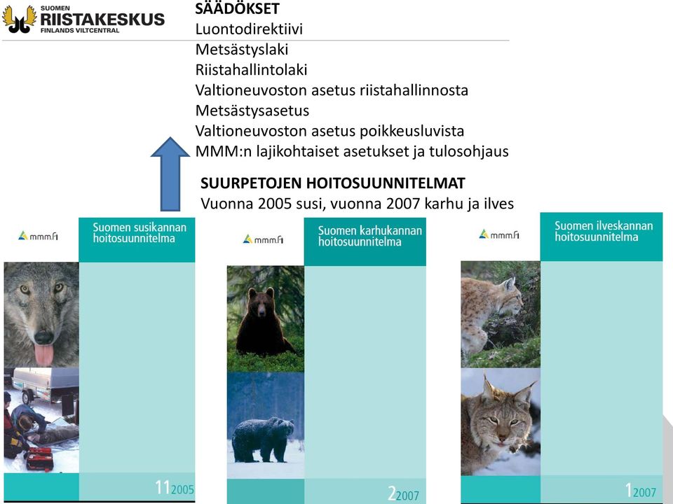 Valtioneuvoston asetus poikkeusluvista MMM:n lajikohtaiset asetukset