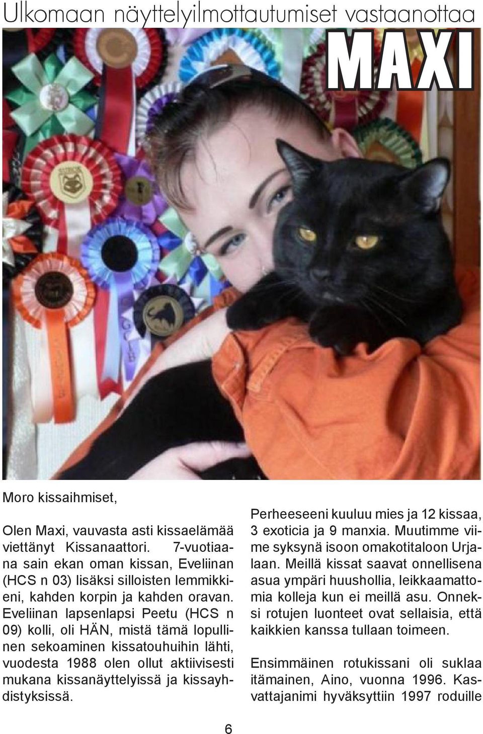 Eveliinan lapsenlapsi Peetu (HCS n 09) kolli, oli HÄN, mistä tämä lopullinen sekoaminen kissatouhuihin lähti, vuodesta 1988 olen ollut aktiivisesti mukana kissanäyttelyissä ja kissayhdistyksissä.