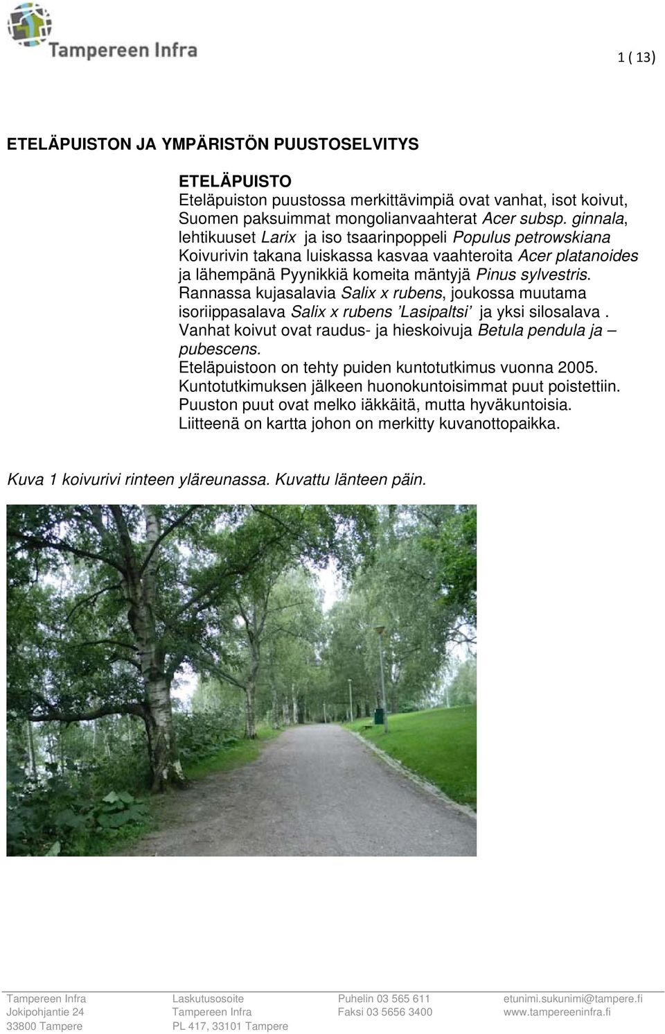 Rannassa kujasalavia Salix x rubens, joukossa muutama isoriippasalava Salix x rubens Lasipaltsi ja yksi silosalava. Vanhat koivut ovat raudus- ja hieskoivuja Betula pendula ja pubescens.