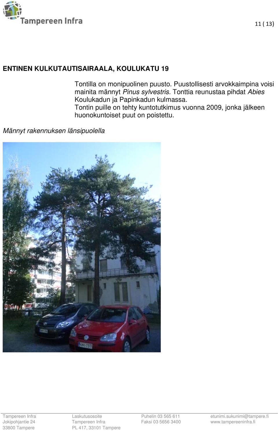 Puustollisesti arvokkaimpina voisi mainita männyt Pinus sylvestris.