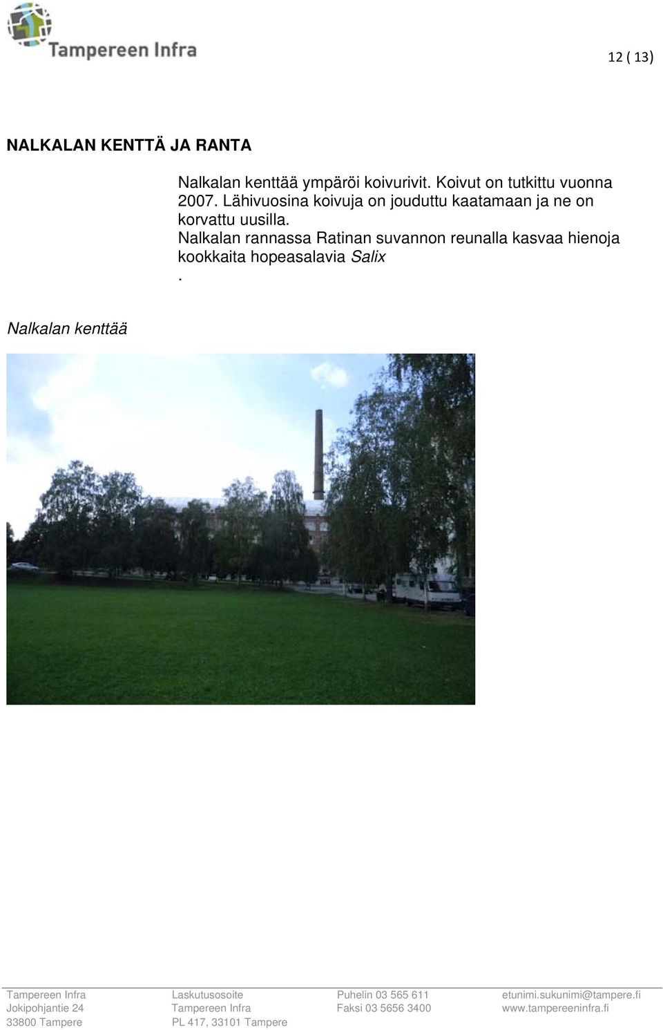 Lähivuosina koivuja on jouduttu kaatamaan ja ne on korvattu uusilla.