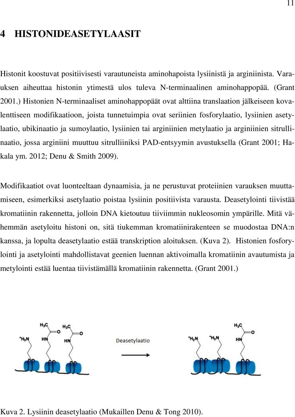 ) Histonien N-terminaaliset aminohappopäät ovat alttiina translaation jälkeiseen kovalenttiseen modifikaatioon, joista tunnetuimpia ovat seriinien fosforylaatio, lysiinien asetylaatio, ubikinaatio ja
