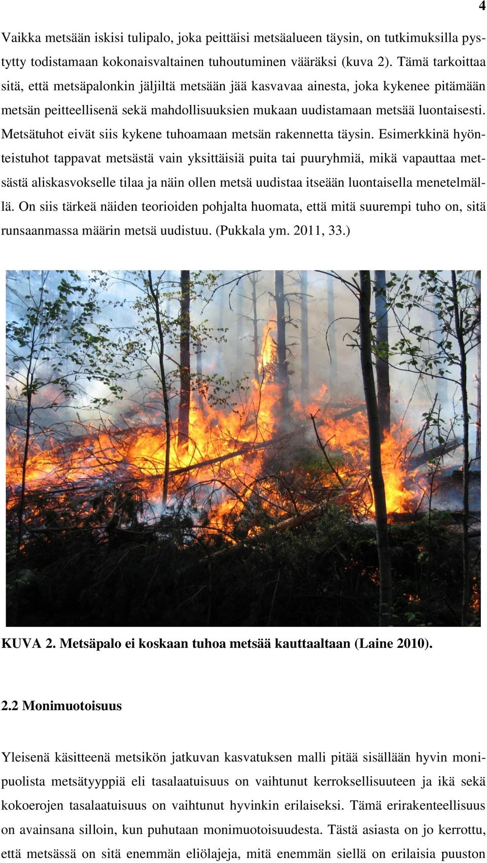 Metsätuhot eivät siis kykene tuhoamaan metsän rakennetta täysin.