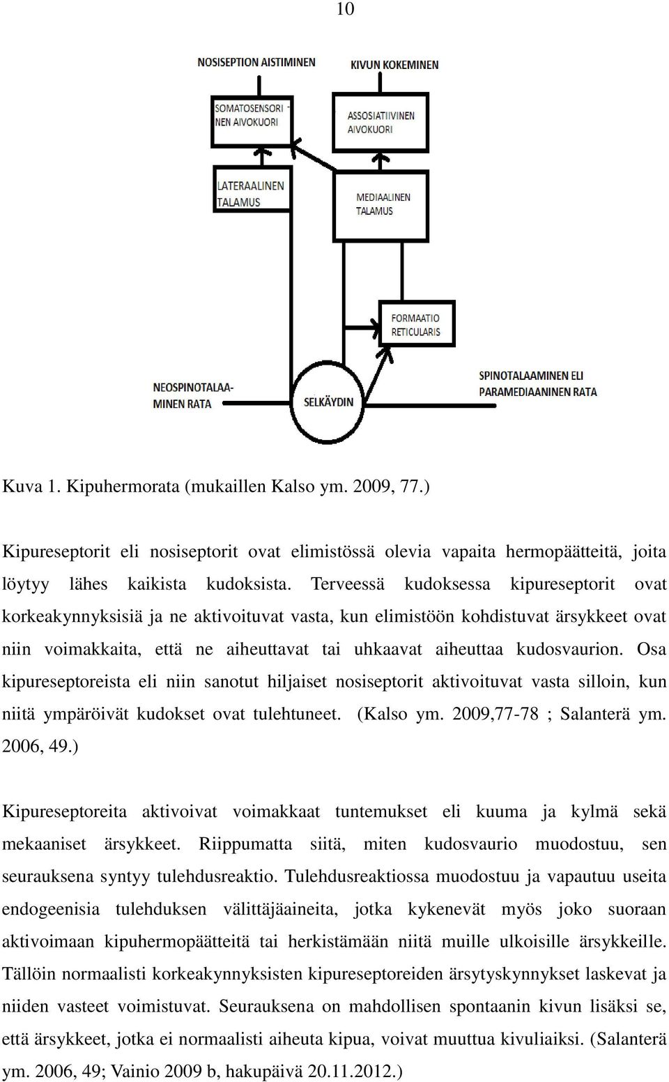 kudosvaurion. Osa kipureseptoreista eli niin sanotut hiljaiset nosiseptorit aktivoituvat vasta silloin, kun niitä ympäröivät kudokset ovat tulehtuneet. (Kalso ym. 2009,77-78 ; Salanterä ym. 2006, 49.