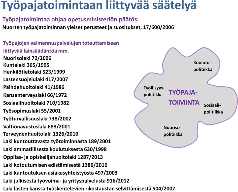 Nuorisolaki 72/2006 Kuntalaki 365/1995 Henkilötietolaki 523/1999 Lastensuojelulaki 417/2007 Päihdehuoltolaki 41/1986 Työllisyyspolitiikka Kansanterveyslaki 66/1972 Sosiaalihuoltolaki 710/1982