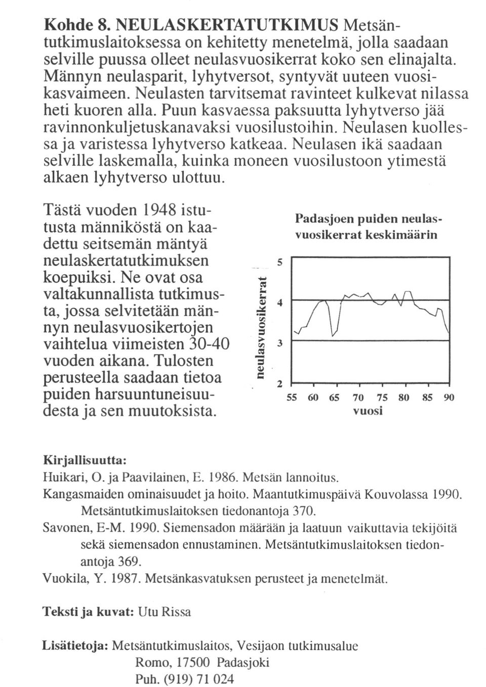 Puun kasvaessa paksuutta lyhytverso jää ravinnkuljetuskanavaksi vuosilustoihin. Neulasen kuolles sa varistessa lyhytverso katkeaa.