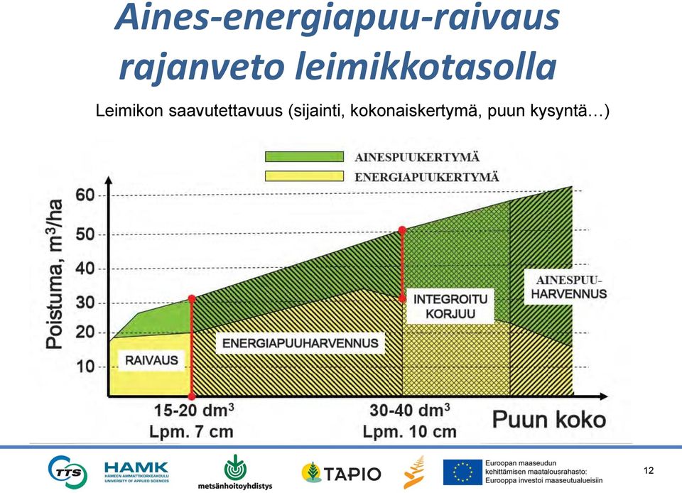 Leimikon saavutettavuus