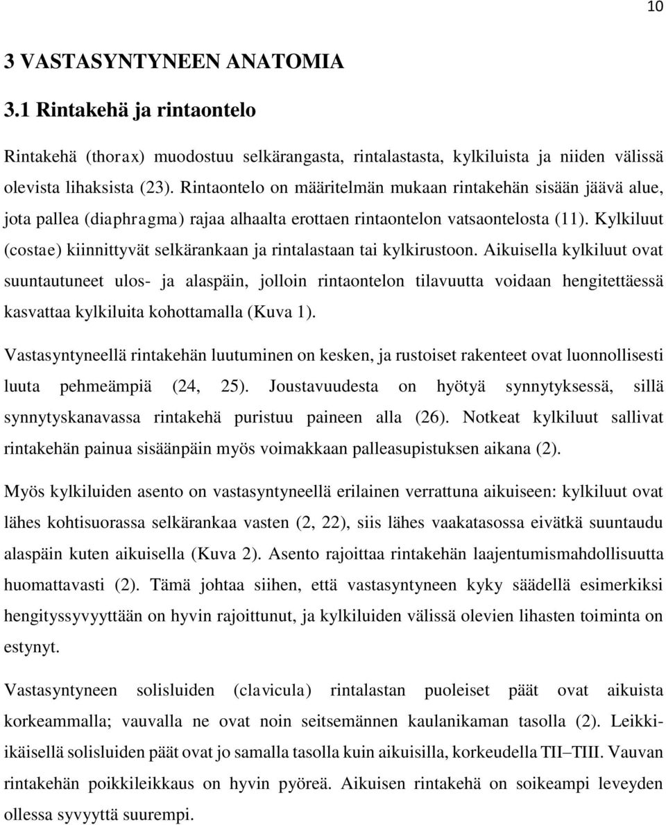 Kylkiluut (costae) kiinnittyvät selkärankaan ja rintalastaan tai kylkirustoon.