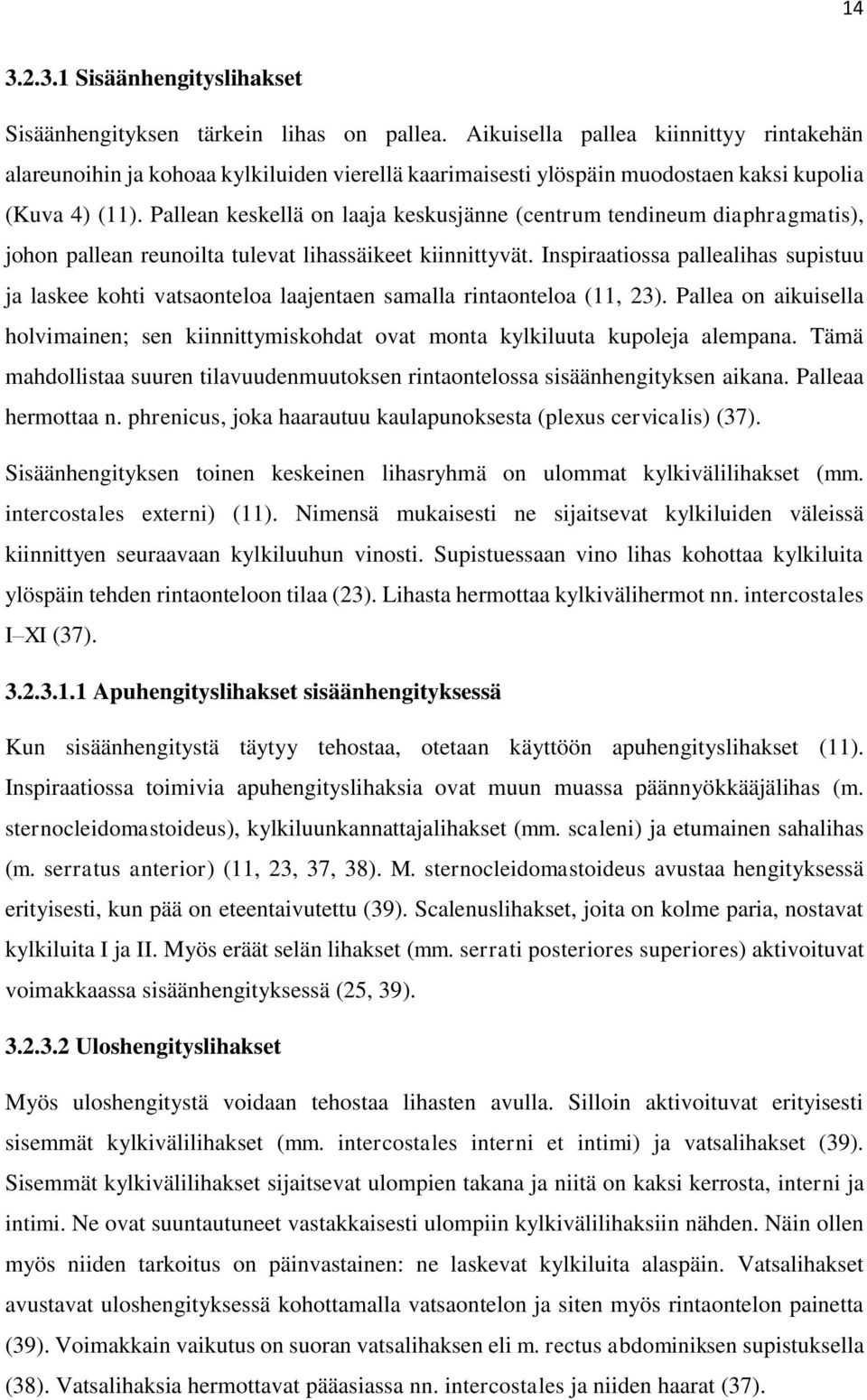 Pallean keskellä on laaja keskusjänne (centrum tendineum diaphragmatis), johon pallean reunoilta tulevat lihassäikeet kiinnittyvät.