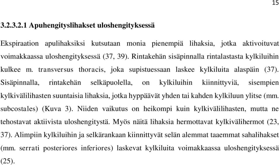 Sisäpinnalla, rintakehän selkäpuolella, on kylkiluihin kiinnittyviä, sisempien kylkivälilihasten suuntaisia lihaksia, jotka hyppäävät yhden tai kahden kylkiluun ylitse (mm. subcostales) (Kuva 3).