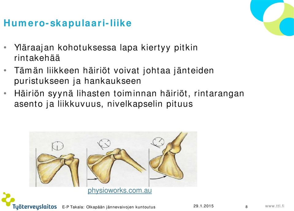 Häiriön syynä lihasten toiminnan häiriöt, rintarangan asento ja liikkuvuus,