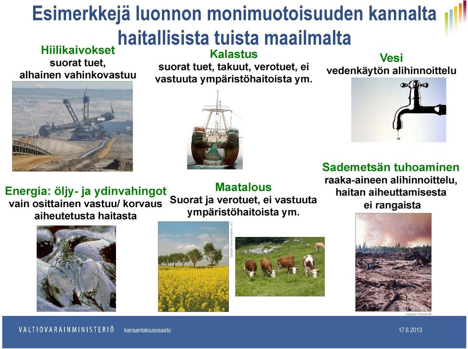 Vesi vedenkäytön alihinnoittelu Sademetsän tuhoaminen raaka-aineen alihinnoittelu, Energia: öljy- ja ydinvahingot haitan