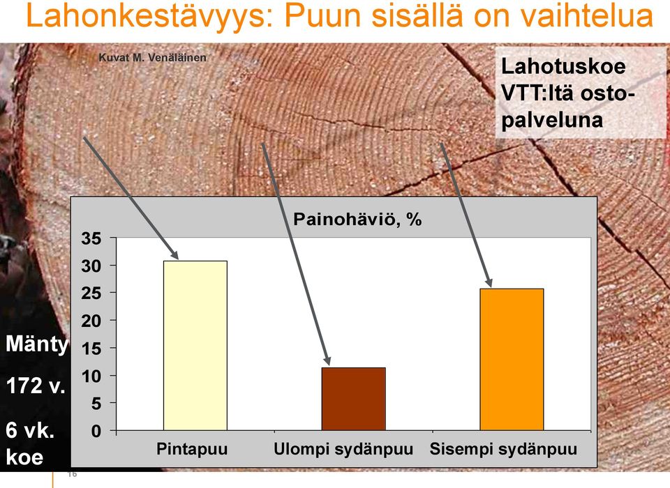 6 vk. koe 16 35 30 25 20 15 10 5 0 Painohäviö, % Pintapuu