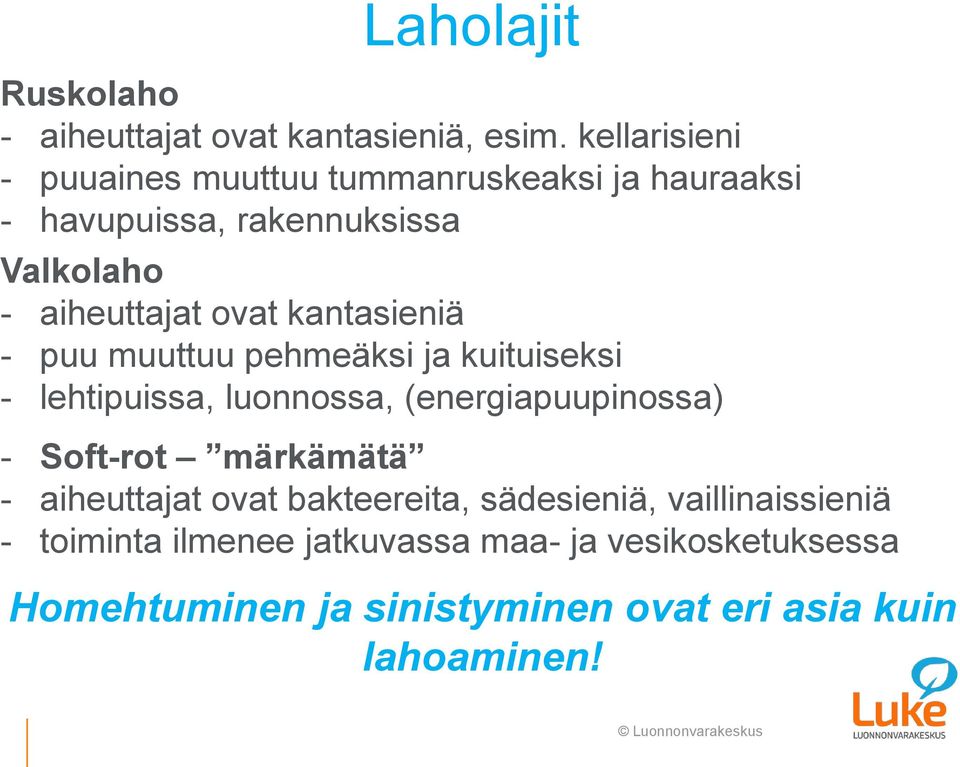 kantasieniä - puu muuttuu pehmeäksi ja kuituiseksi - lehtipuissa, luonnossa, (energiapuupinossa) - Soft-rot märkämätä