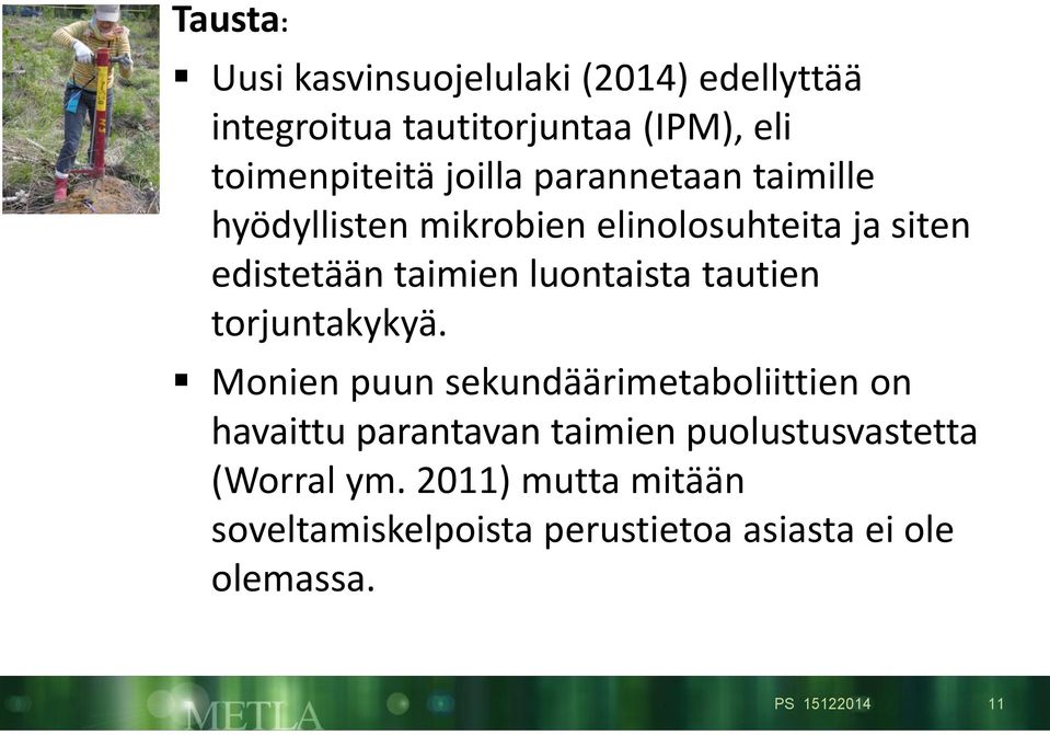 luontaista tautien torjuntakykyä.