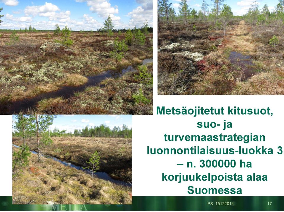 turvemaastrategian luonnontilaisuus-luokka
