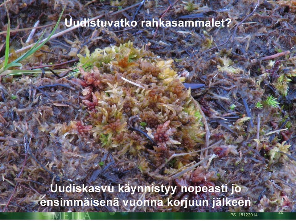 nopeasti jo ensimmäisenä