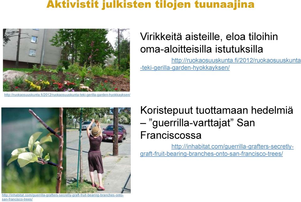 fi/2012/ruokaosuuskunta-teki-gerilla-garden-hyokkayksen/ Koristepuut tuottamaan hedelmiä guerrilla-varttajat San Franciscossa